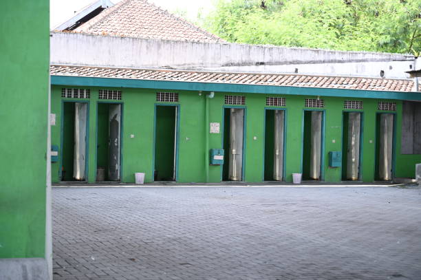 Reliable Gang Mills, NY porta potty rental Solutions